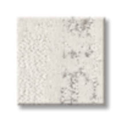 Shaw Westchester County Arctic Pattern Carpet with Pet Perfect Plus-Sample